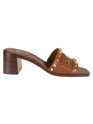 Brown Vg Plaster Caster T. 60 Slide