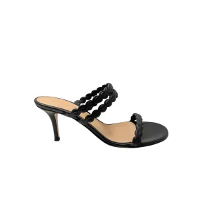 Kay Mules 70