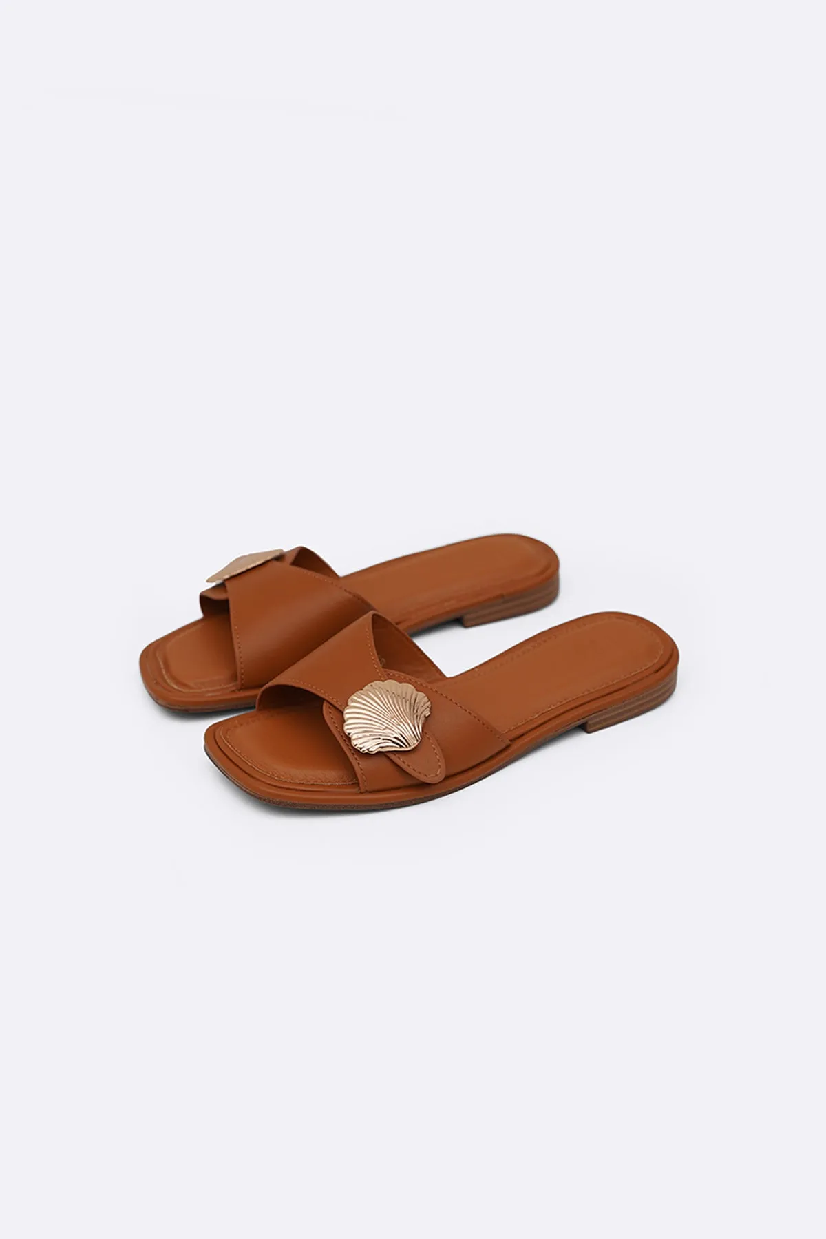 SEASHELL SLIDES