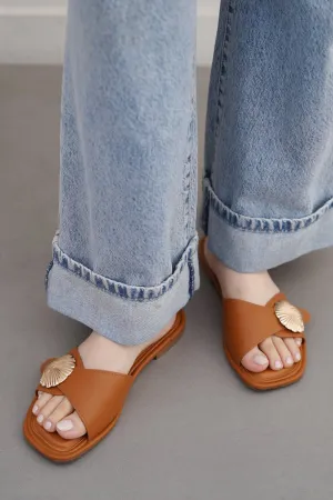 SEASHELL SLIDES