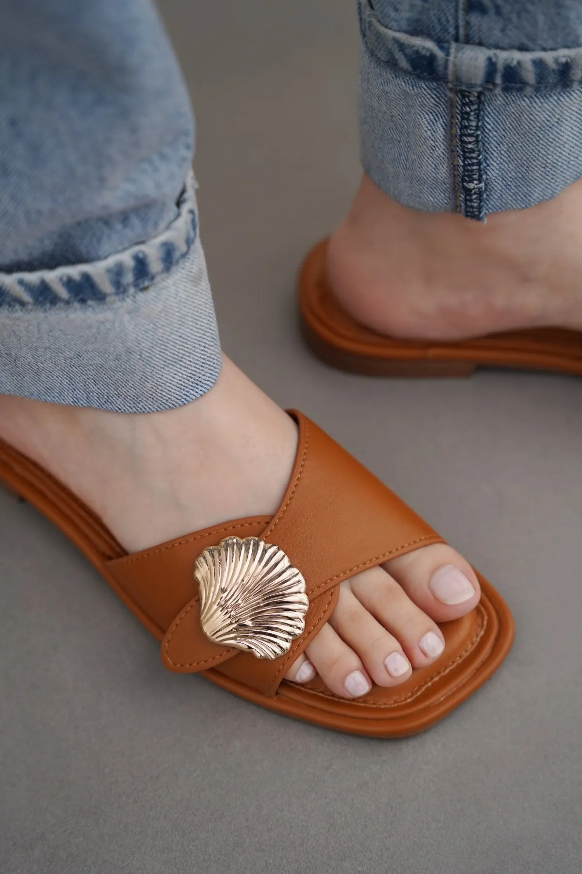 SEASHELL SLIDES