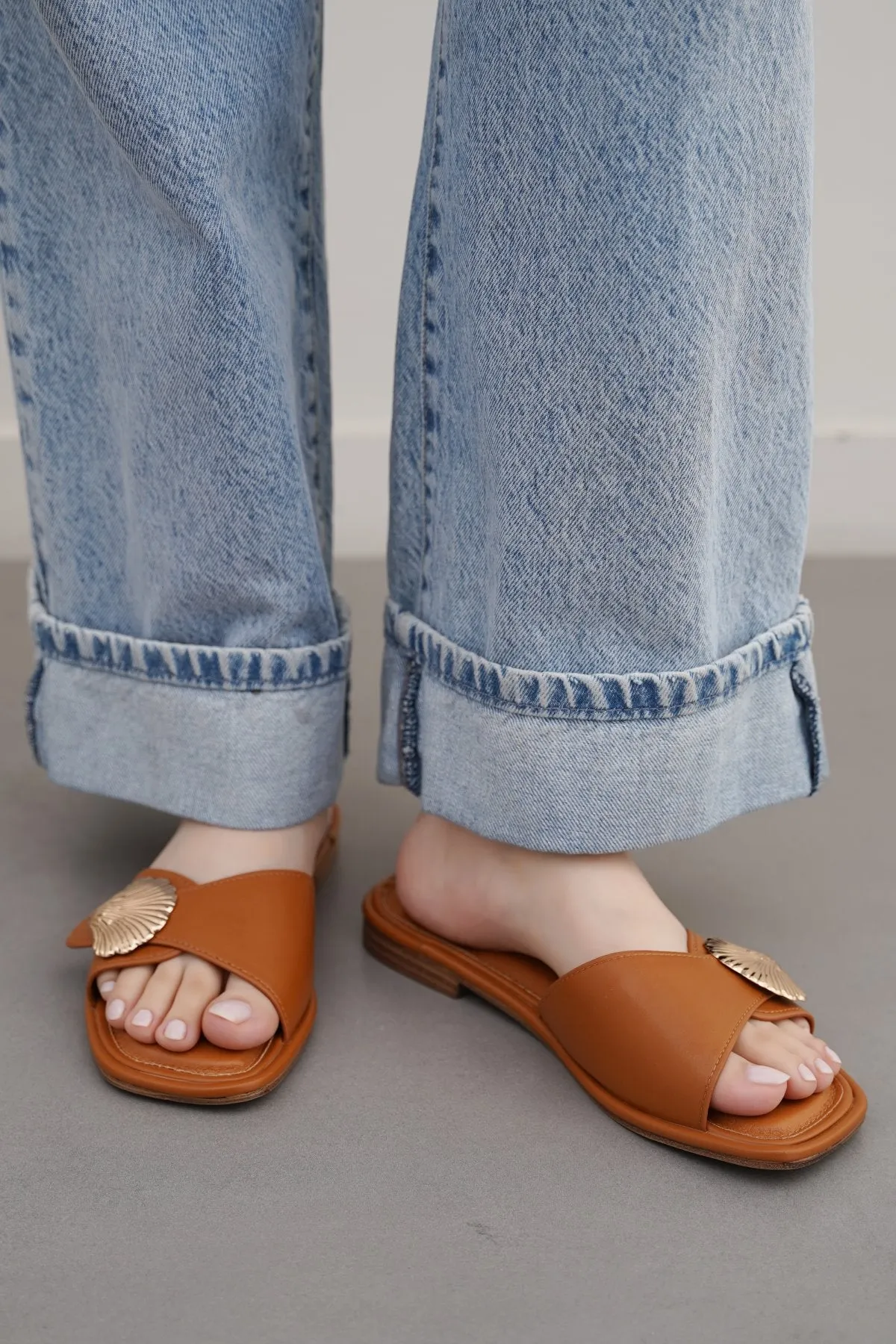 SEASHELL SLIDES