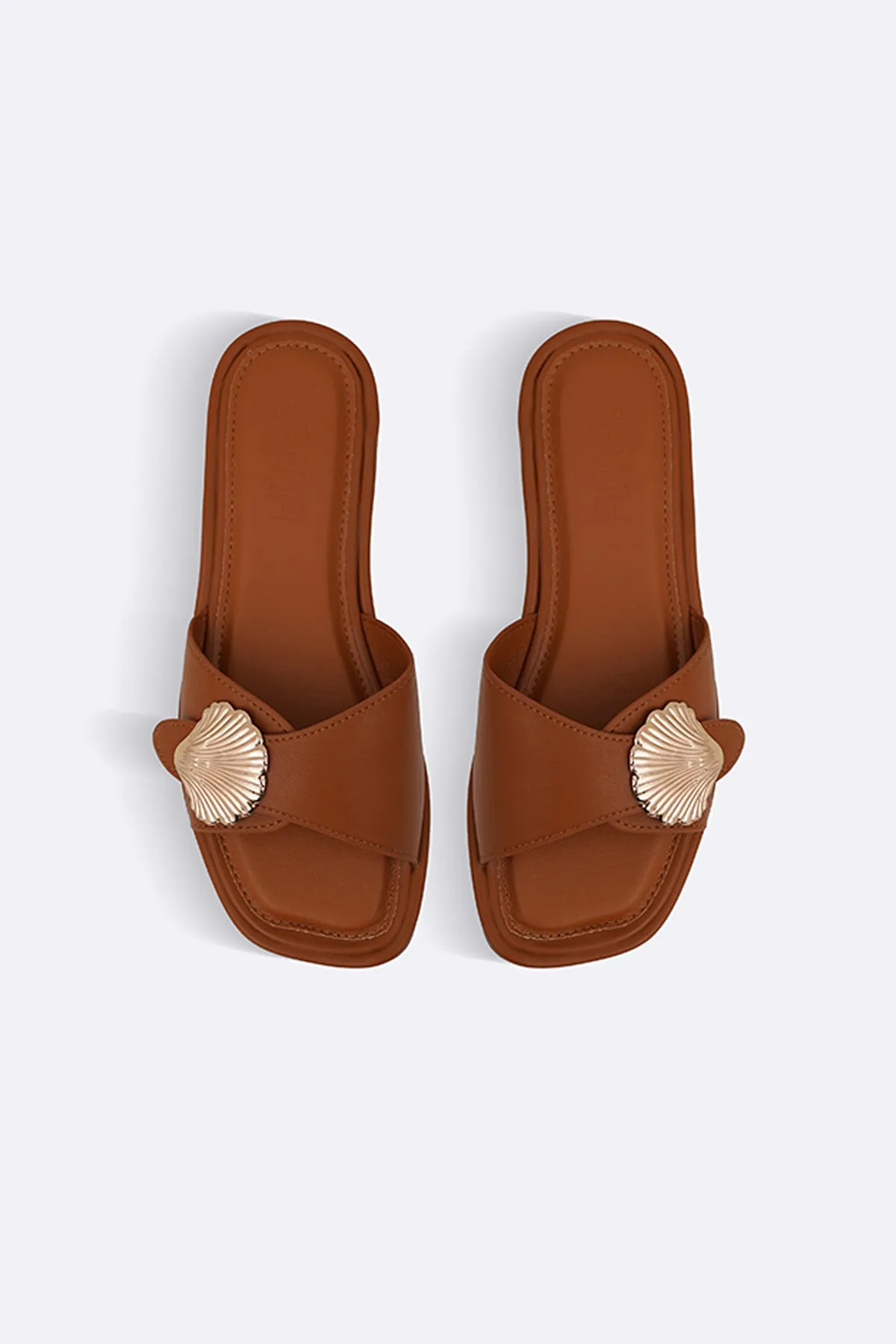 SEASHELL SLIDES
