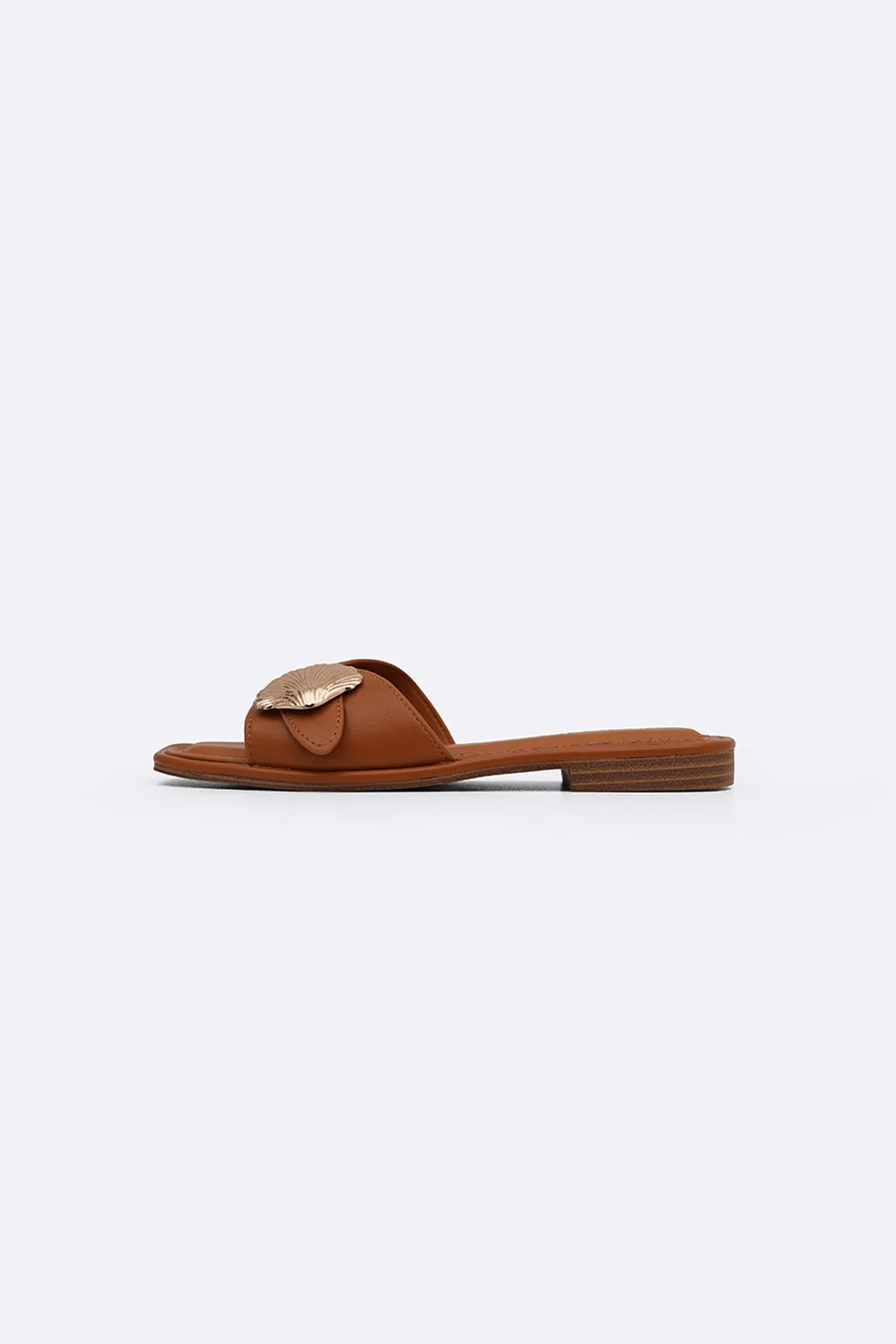 SEASHELL SLIDES