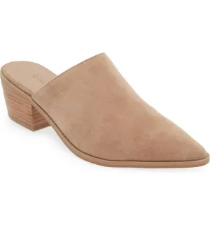 Women's Celia Pointy Toe Mule In Latte Suede