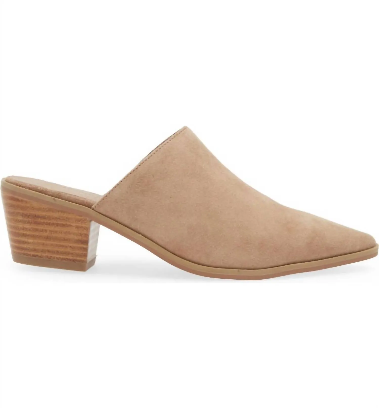 Women's Celia Pointy Toe Mule In Latte Suede