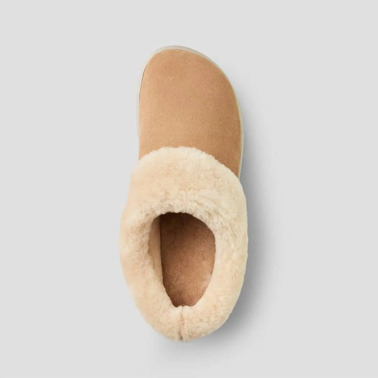 Women's Pronya Shearling Mule In Camel